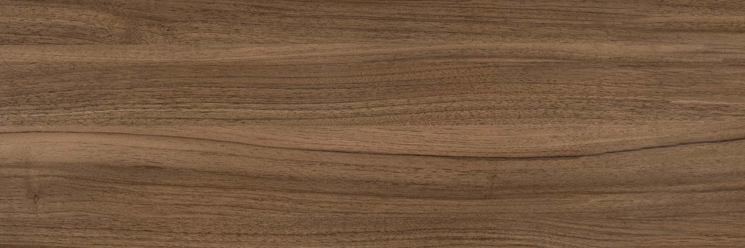 Kavkaz-brown-PG-02-F1-kopiya