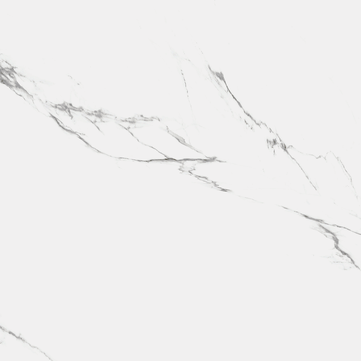 keramogranit_royce_carrara_marmo_matt_60x60_sm_r_nr1002