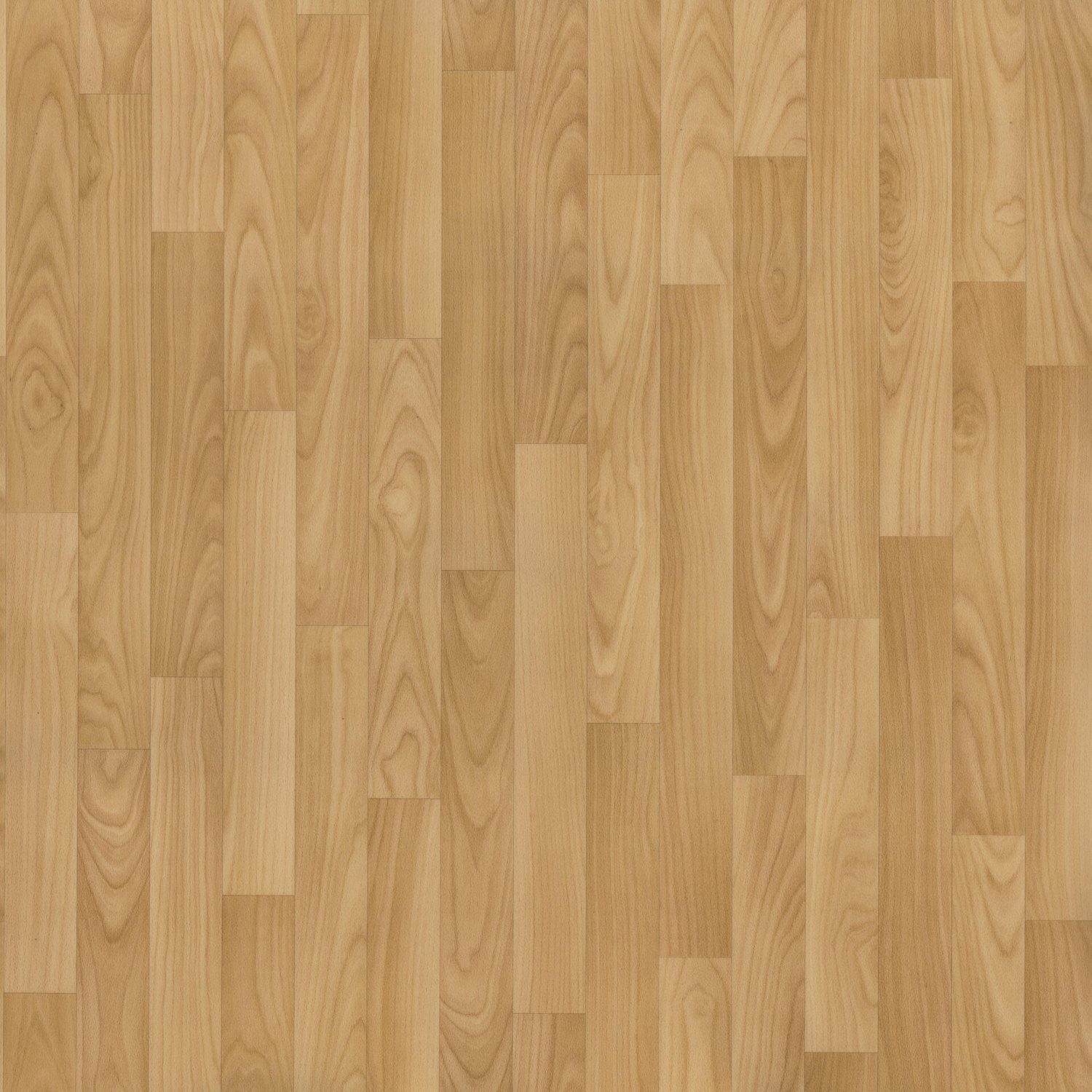 TH_Omnisports_Action_65_cold-beech