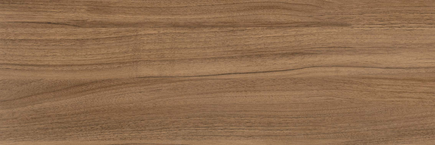 Kavkaz-brown-PG-01-F1-kopiya