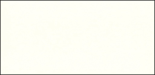 Плитка керам. для обл. бассейнов 245х120 Верона белый