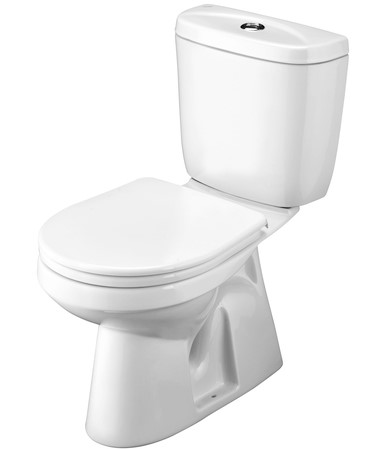 Унитаз-компакт "Анимо" в пол (эконом: 1-реж., полипроп), 1.WH11.0.038