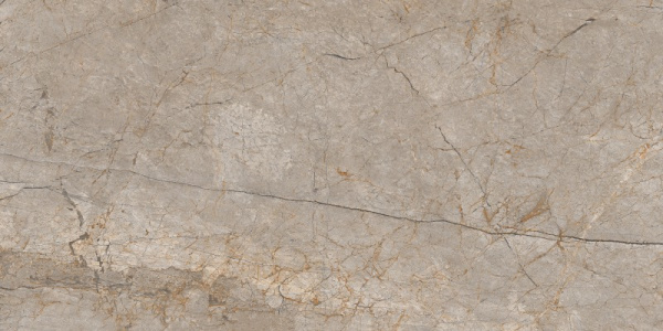 Глаз. керамогранит Silver Roots серый ректификат 60x120 5мм (Водопоглощение BIa) 17124