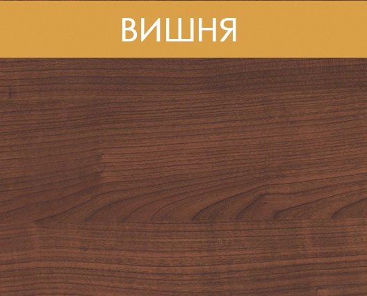 Порог-держатель ПД 05 0,90 м вишня 00001283