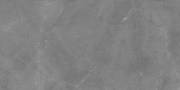 Глаз. керамогранит Electric Mist серый ректификат 60x120 5мм (Водопоглощение BIa) 17131
