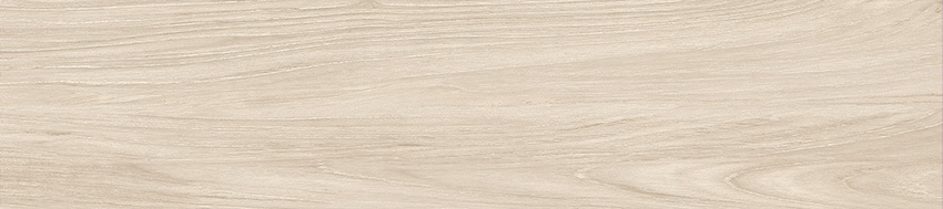 b0947589-44f3-11ef-bbfc-d85ed3e5e4b1