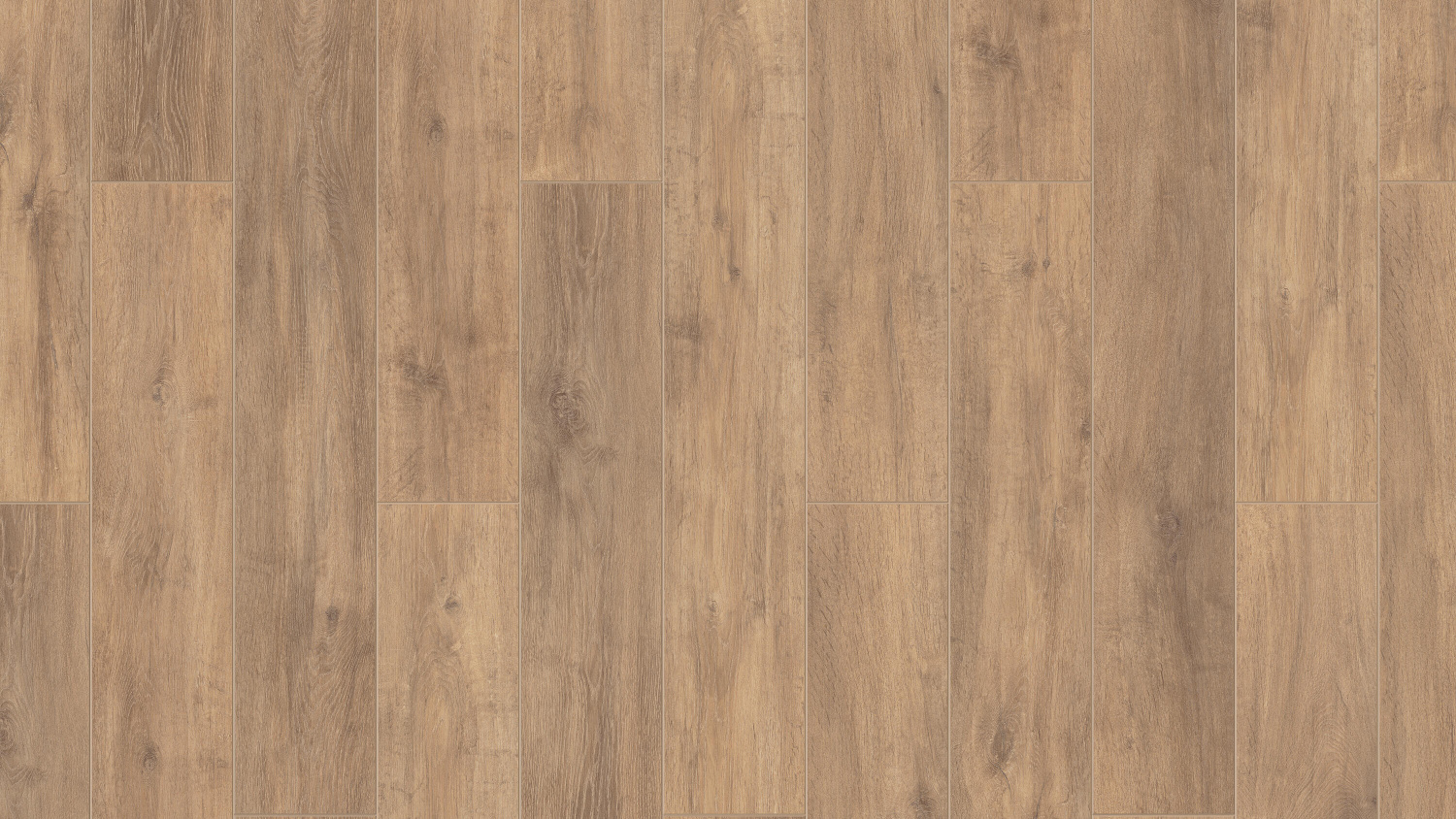 THH_Estetica_Graphics