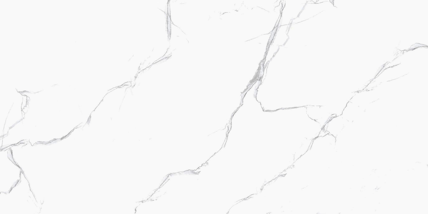 R_PR2003 Керамогранит Unico White 60х120см Polished