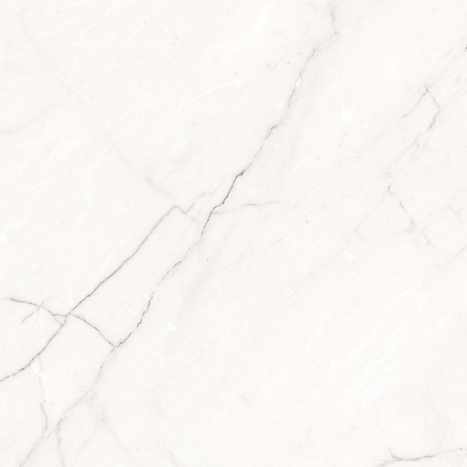 Opera-white-PG-01-F01-kopiya