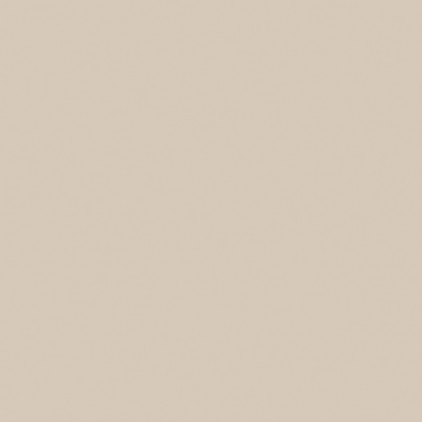 Керамогранит неглазур. неполир. RAINBOW RW01 60х60 сорт1 (Водопоглощение BIa)