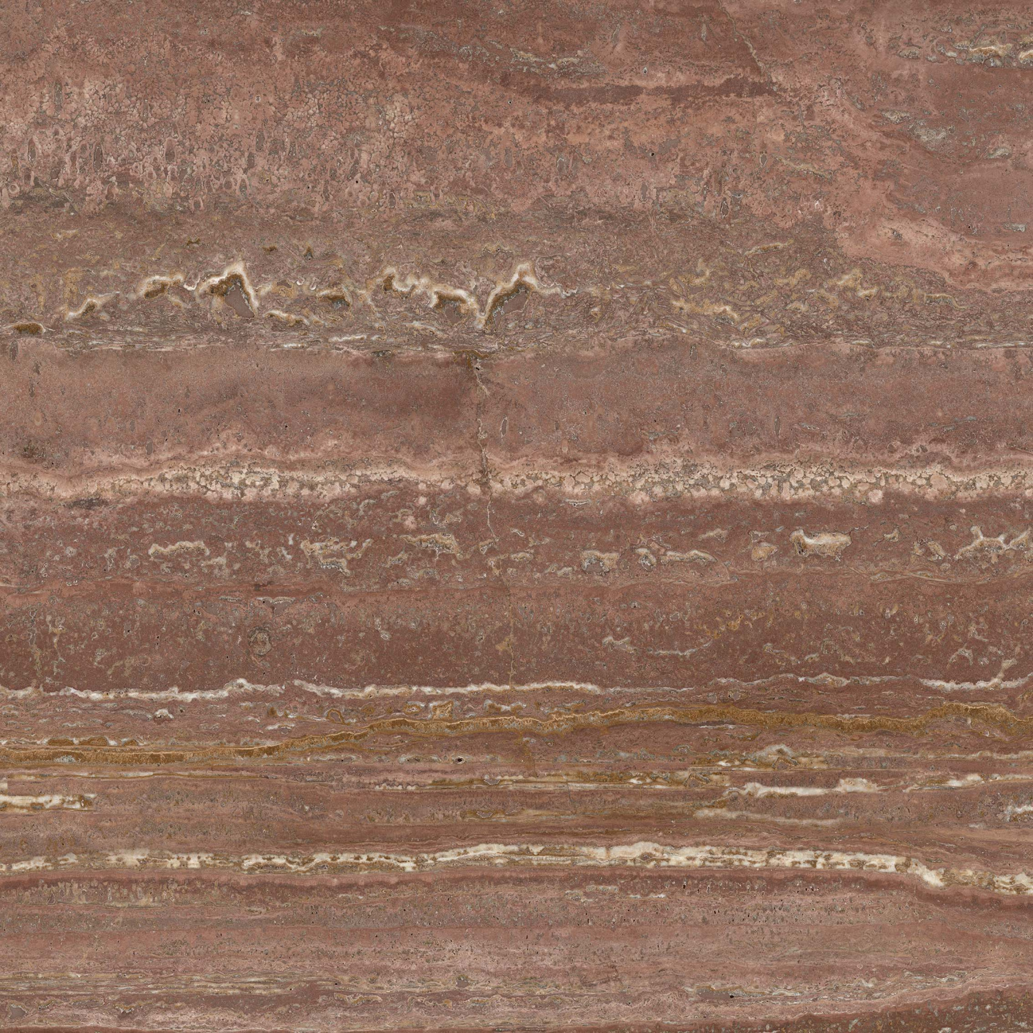 Skyline-brown-PG-01-F01-kopiya
