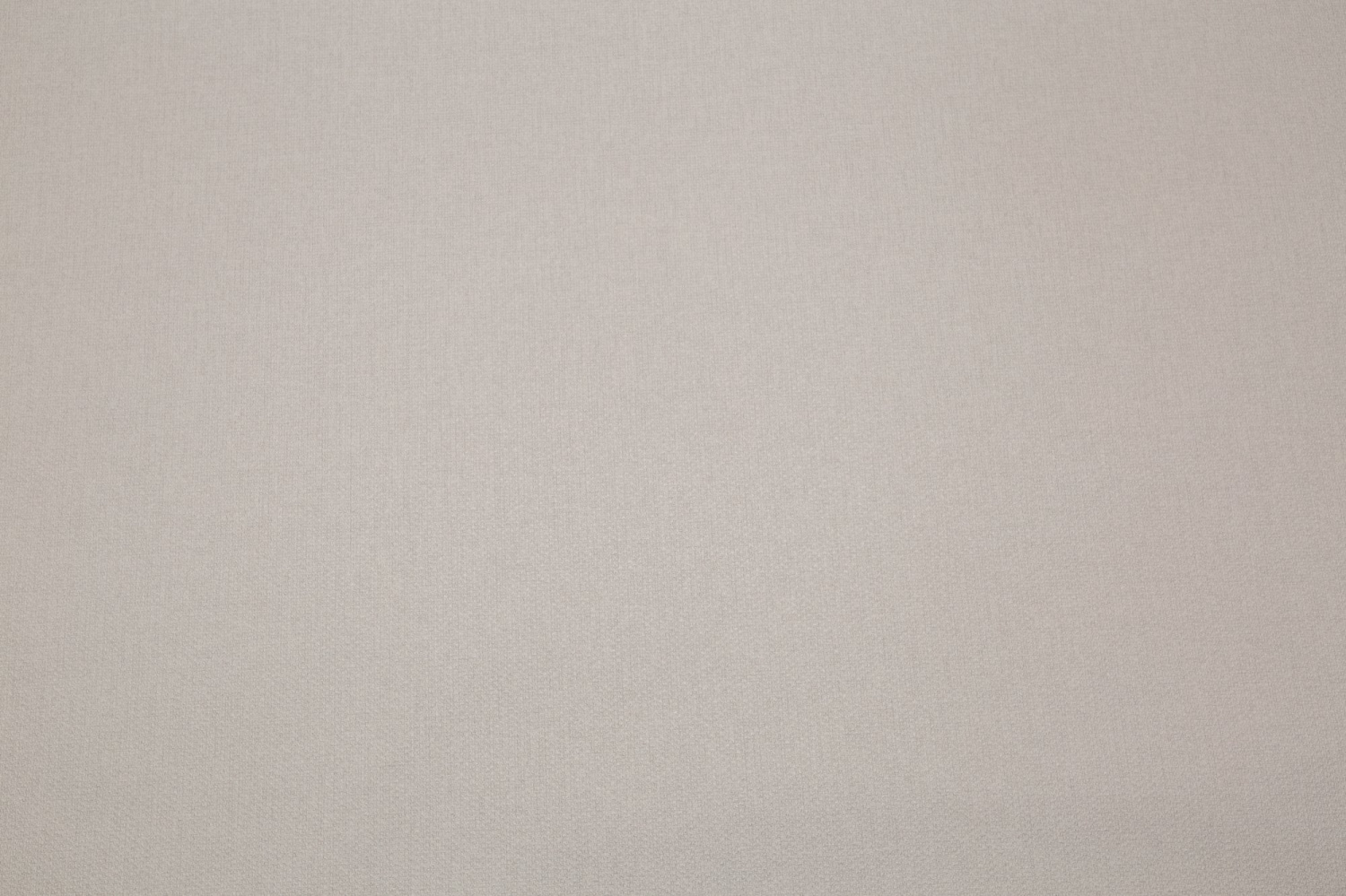 CAT_MACRO_PHOTOiI_TC72377-28_(1)