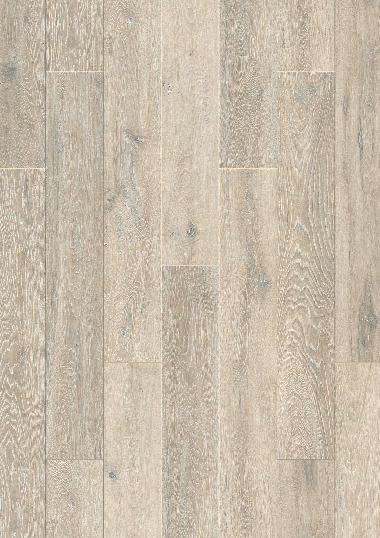 5543_V4_1285x192_frontal_A4_RGB