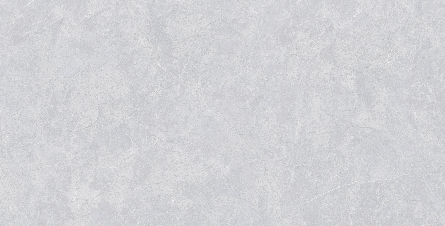 Everest Grey 600х1200