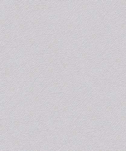 UI1007