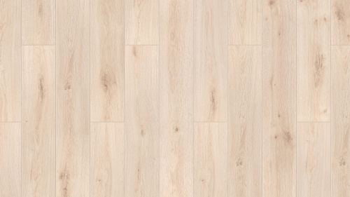 THH_Taiga_Pervaya_Sibirskaya_Oak_Putorana