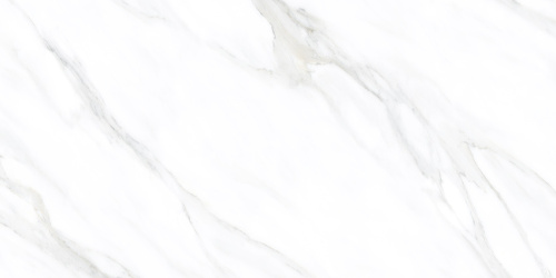 9f4693e3-7f6d-11ed-8128-00155d5d5700