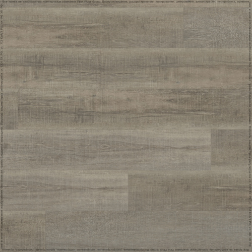 altastep_6613_3