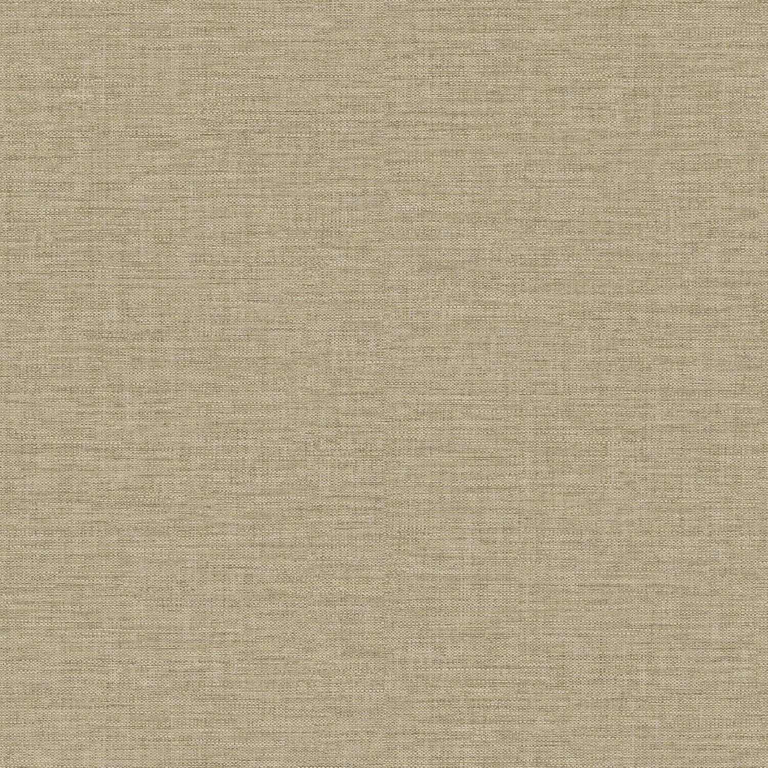 CO1005_ONLINE