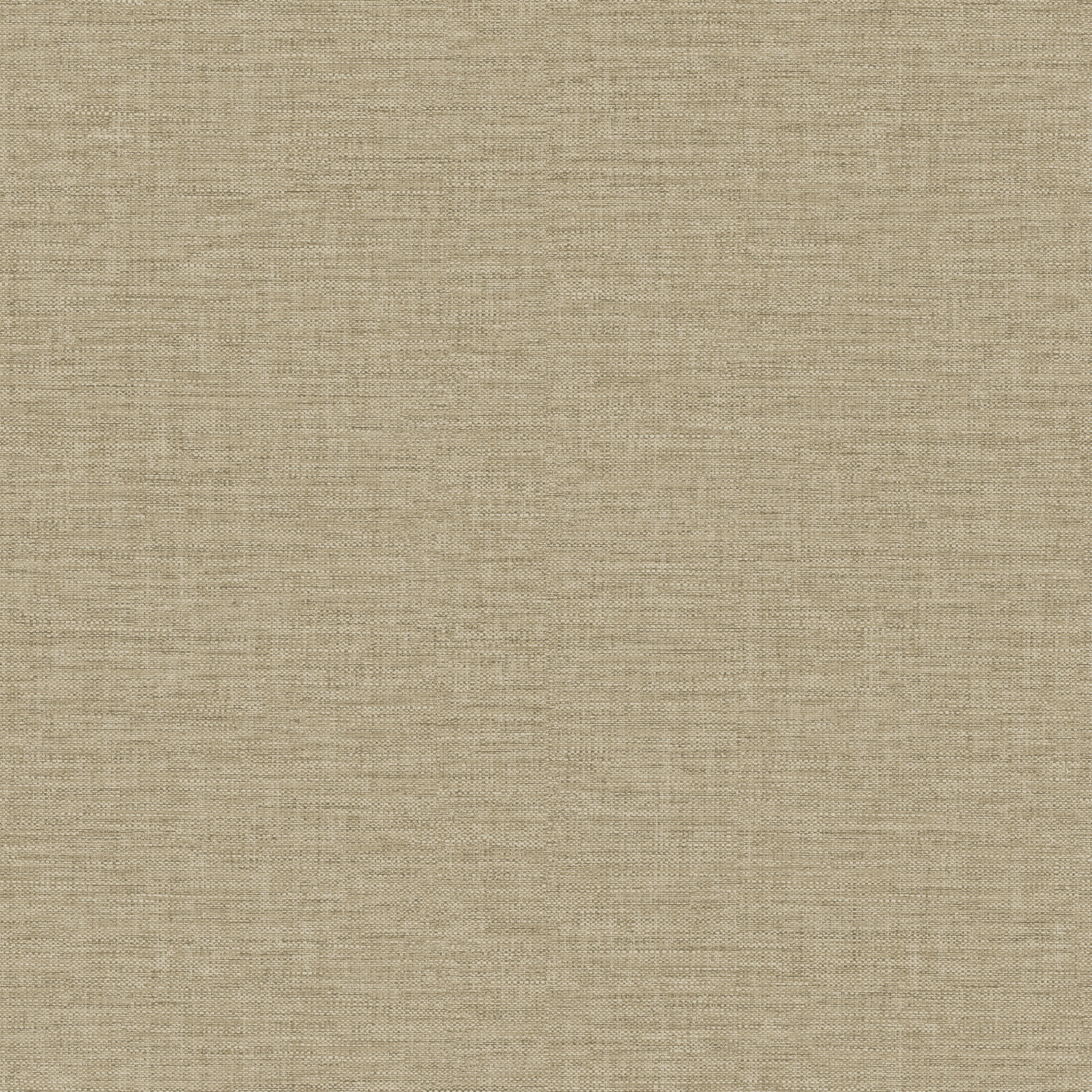 CO1005_ONLINE