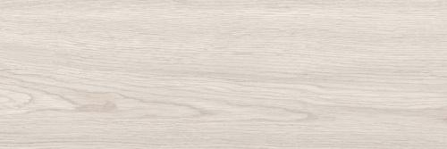 Baltika-grey-PG-01-F1-kopiya