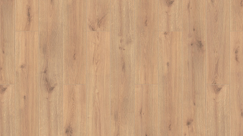 THH_Taiga_Pervaya_Uralskaya_Oak_Taganai