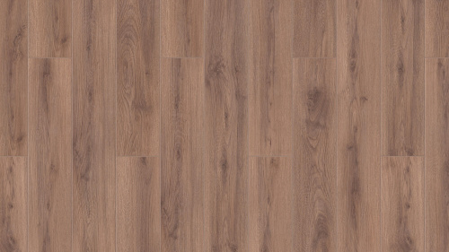 THH_Taiga_Pervaya_Sibirskaya_Oak_Alatau