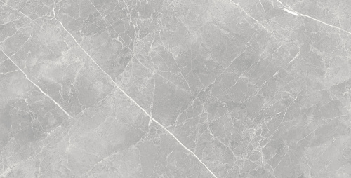 Keramogranit-Himalayas-Grey-60kh120-MATT_F1