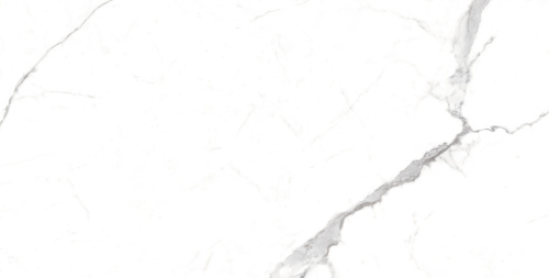 MAGICAL STATUARIO  (1) copy