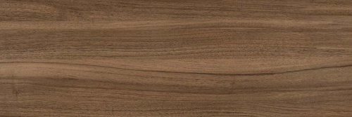 Kavkaz-brown-PG-02-F1-kopiya