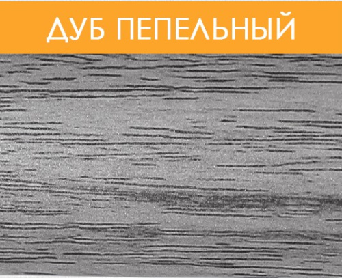 дуб пепельный