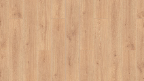 THH_Taiga_Pervaya_Sibirskaya_Oak_Sayan