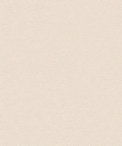 UI1008
