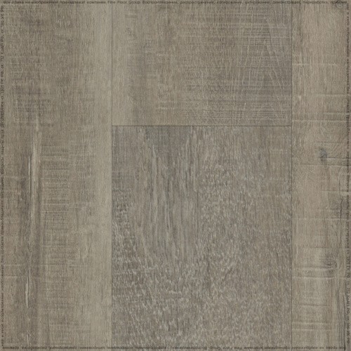 altastep_6613_1